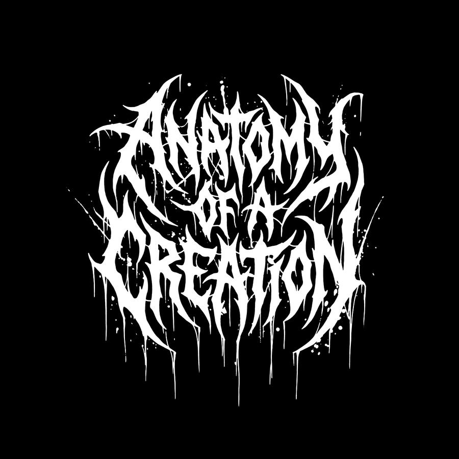 ANATOMY OF A CREATION